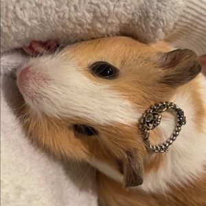 Meet your Posher, Kassandra